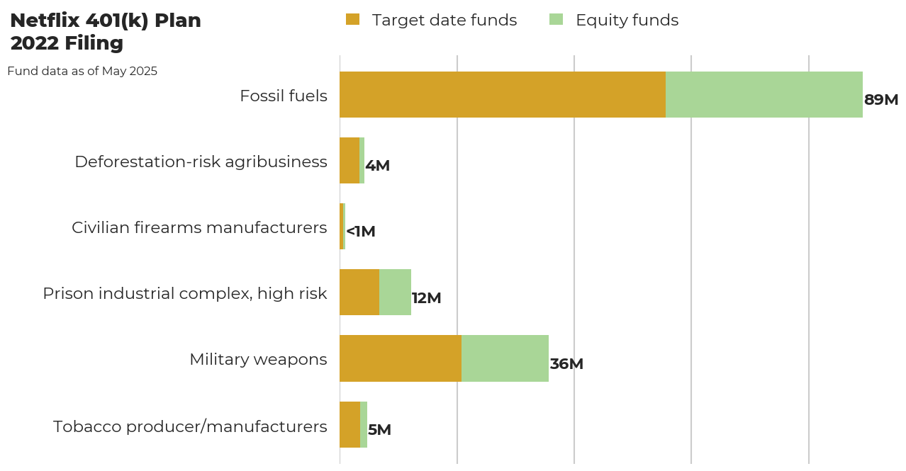 Netflix 401(k) Plan flagged investments