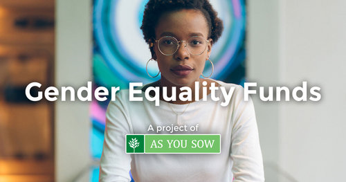 Gender Equality Funds