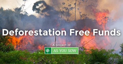 Deforestation Free Funds