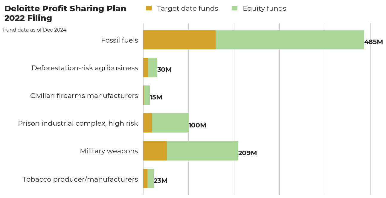 Deloitte Profit Sharing Plan flagged investments