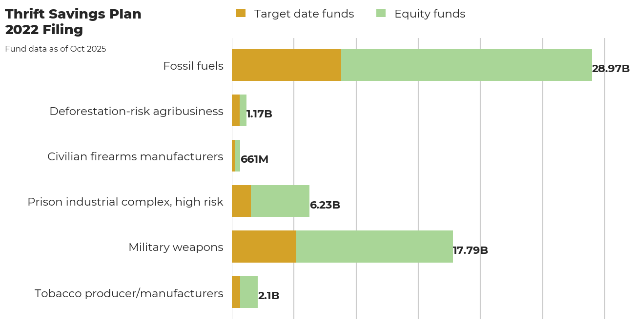 Thrift Savings Plan flagged investments